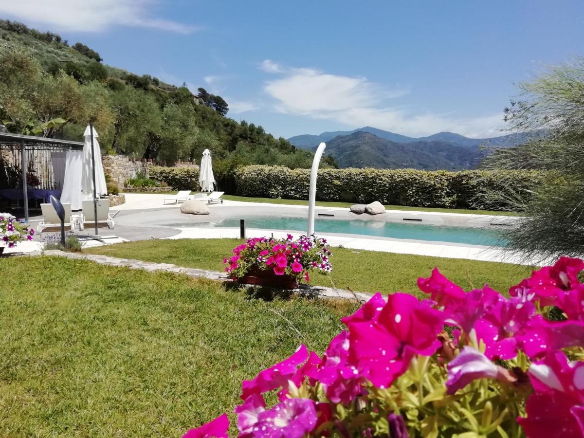 La Cicala Stonata Bed & Breakfast Dolceacqua Eksteriør bilde