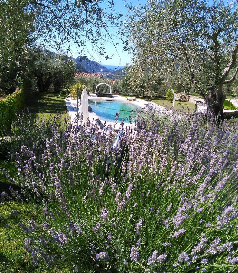 La Cicala Stonata Bed & Breakfast Dolceacqua Eksteriør bilde