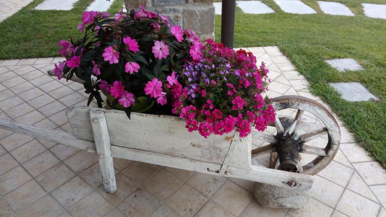 La Cicala Stonata Bed & Breakfast Dolceacqua Eksteriør bilde