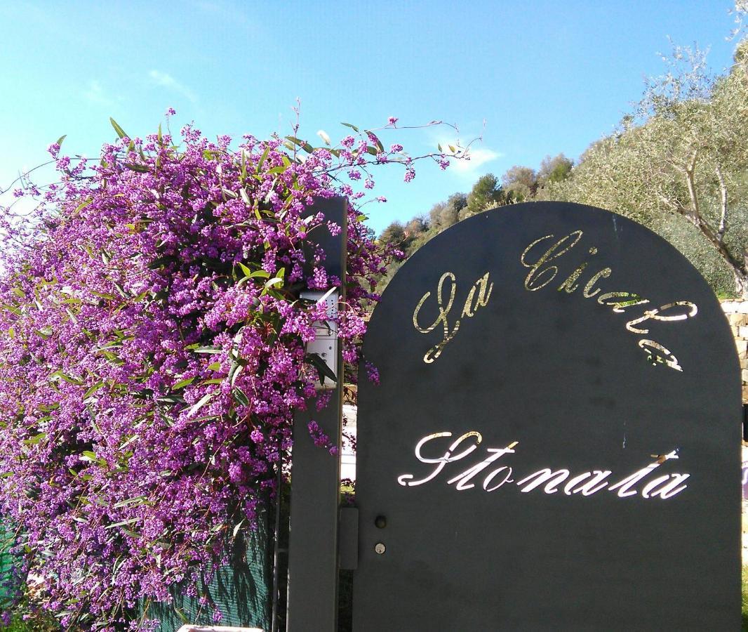 La Cicala Stonata Bed & Breakfast Dolceacqua Eksteriør bilde