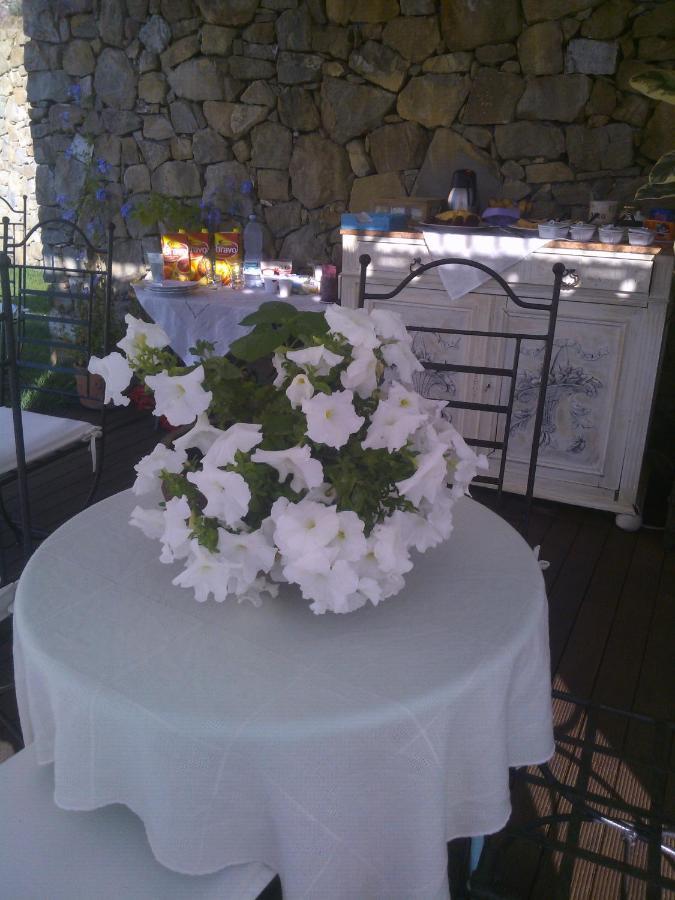 La Cicala Stonata Bed & Breakfast Dolceacqua Eksteriør bilde