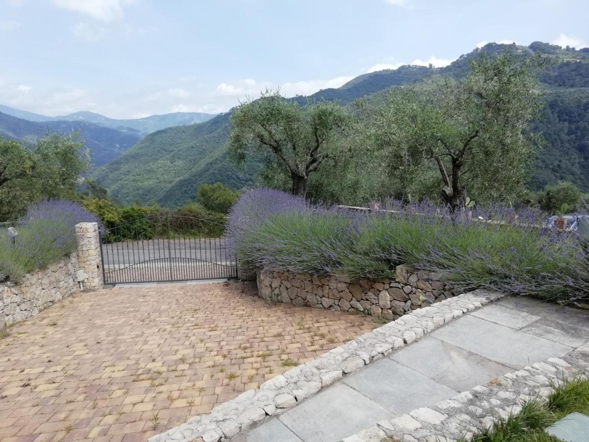 La Cicala Stonata Bed & Breakfast Dolceacqua Eksteriør bilde