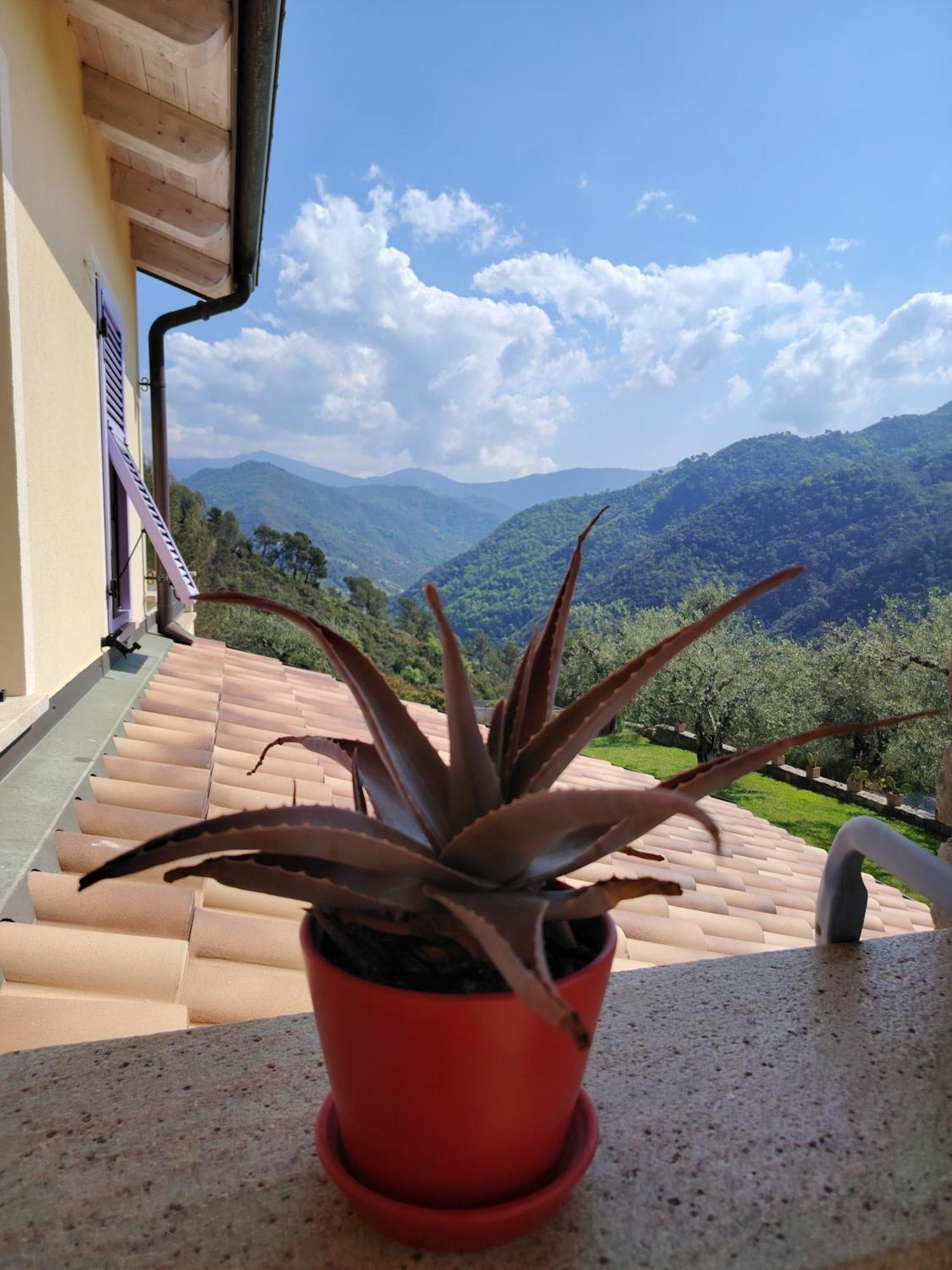La Cicala Stonata Bed & Breakfast Dolceacqua Eksteriør bilde